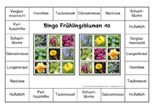 Bingo-Frühlingsblüten-10.pdf